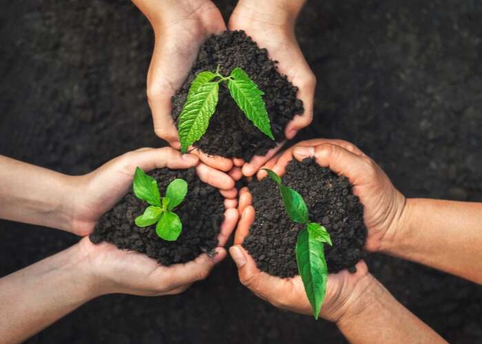 Policy & Environmental Benefits